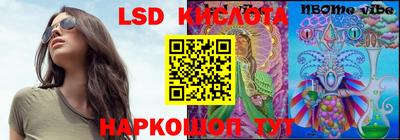 индика Будённовск