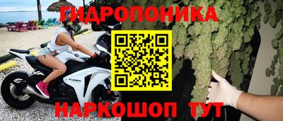 индика Будённовск