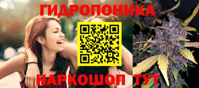 мяу мяу мука Бузулук