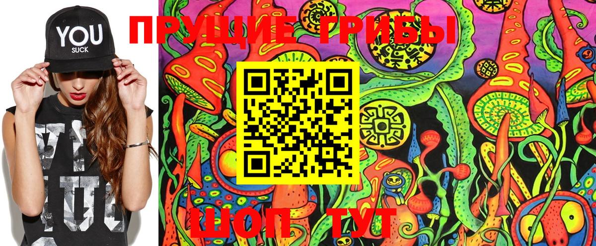 Псилоцибиновые грибы GOLDEN TEACHER Новочебоксарск